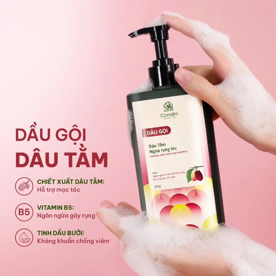 dầu gội dâu tằm ngừa rụng tóc